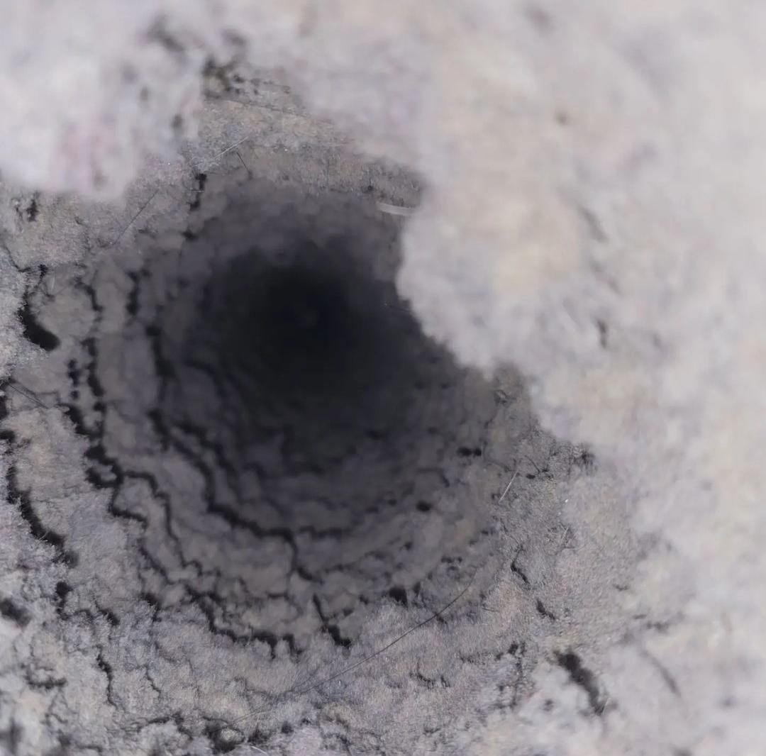 WhatsApp Image 2024-10-21 at 19.38.55 WhatsApp Image 2024-10-21 at 19.38.55