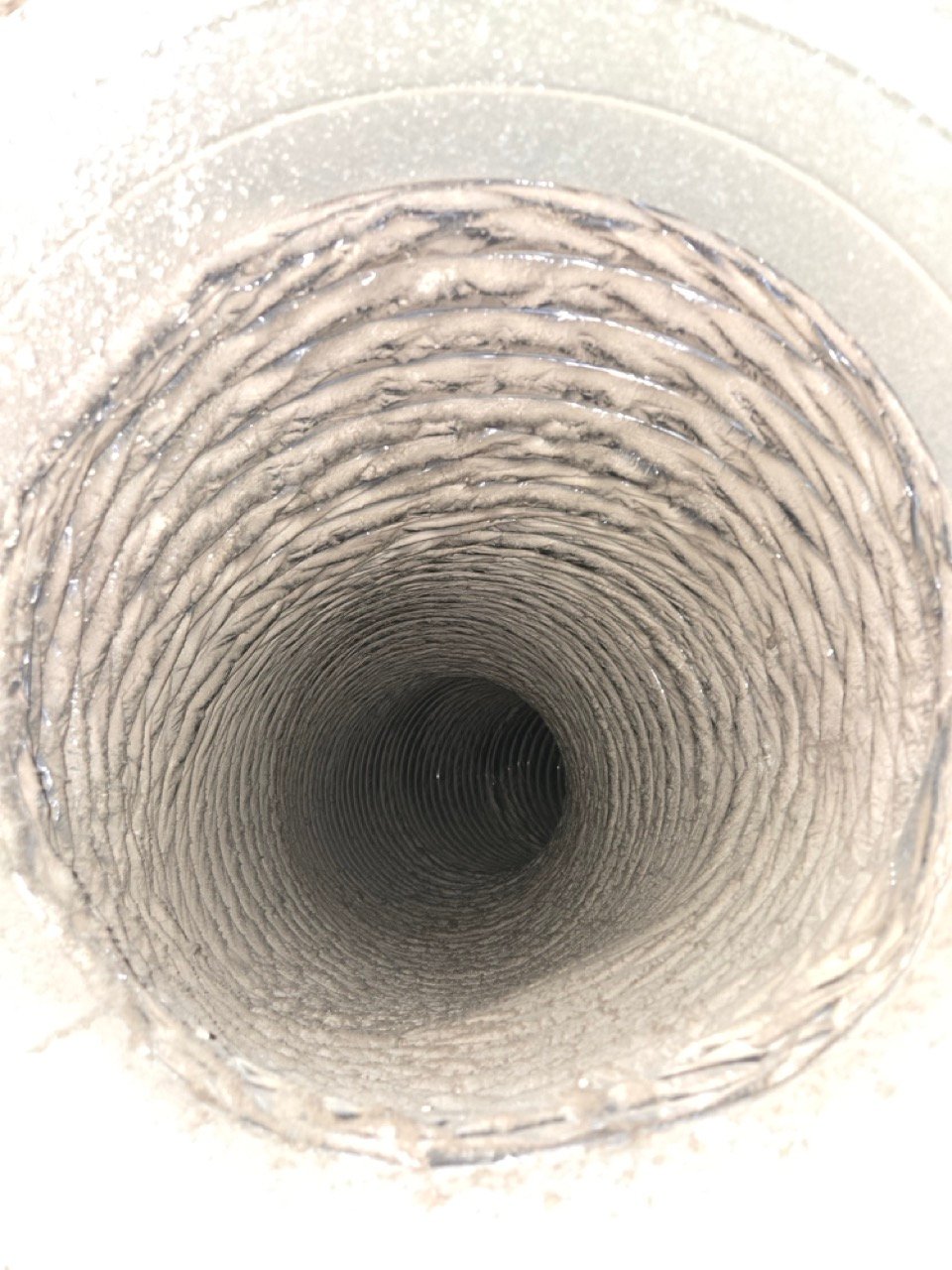 20241119_103229 Large