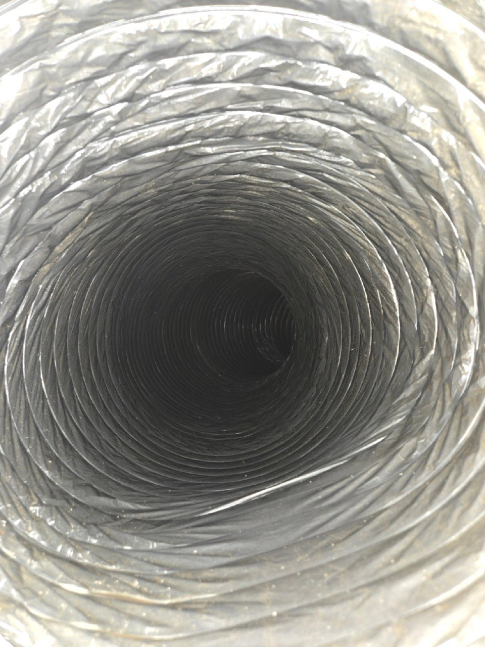 20241119_110135 Large