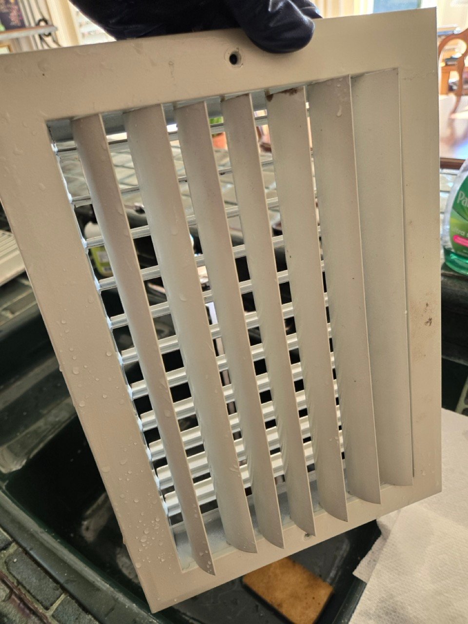 20241204_100104 Large