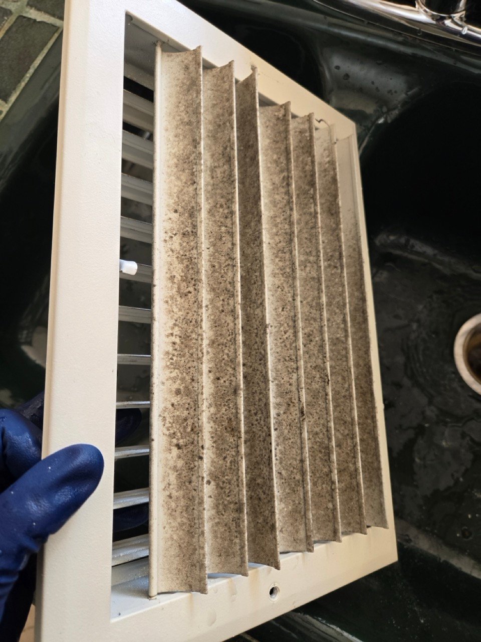 20241204_100124 Large