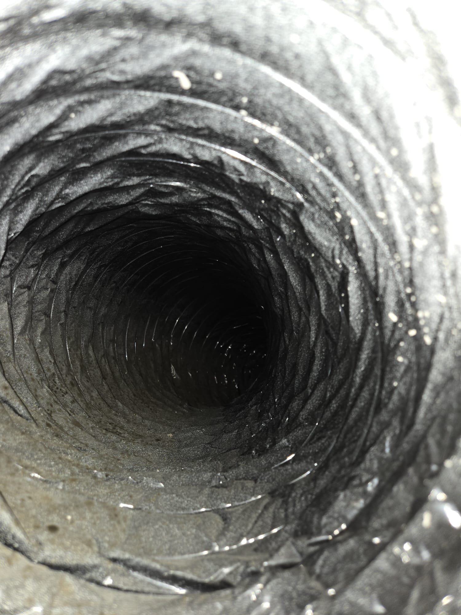 WhatsApp Image 2024-12-05 at 11.03.54 (5)