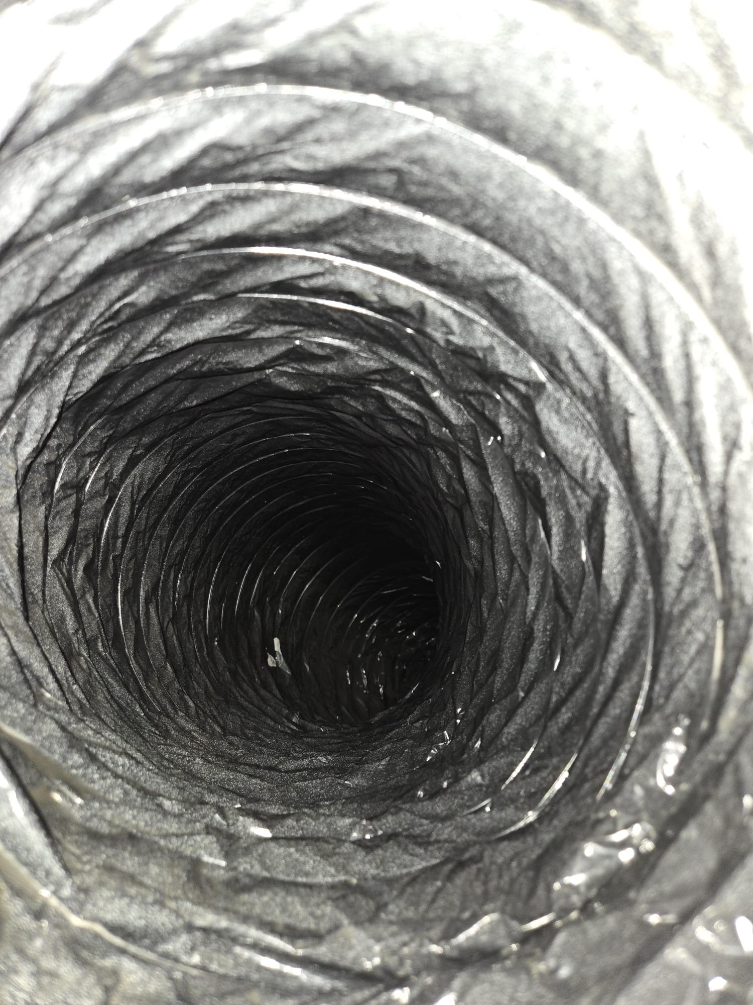 WhatsApp Image 2024-12-05 at 11.03.54 (6)