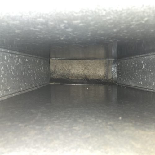 20241112_114258 Large