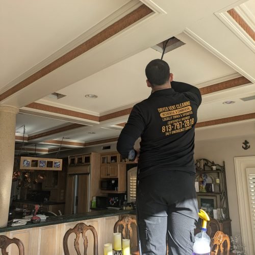 PXL_20241204_143956441