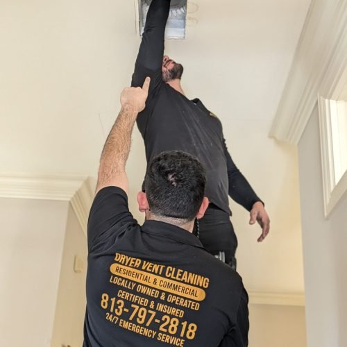 PXL_20241204_155005259.PORTRAIT