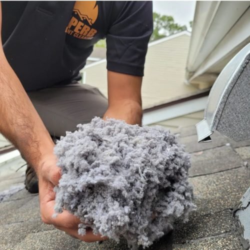 WhatsApp Image 2024-09-11 at 11.07.00 (2)