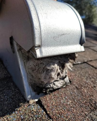 WhatsApp Image 2024-10-21 at 19.44.33