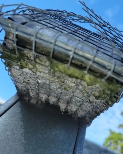 WhatsApp Image 2024-10-21 at 19.44.40