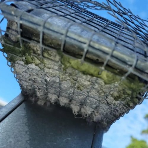 WhatsApp Image 2024-10-21 at 19.44.40