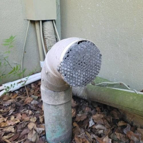 WhatsApp Image 2024-10-21 at 19.44.59