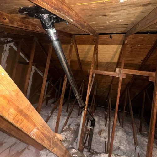 WhatsApp Image 2024-10-21 at 19.46.23 (1)