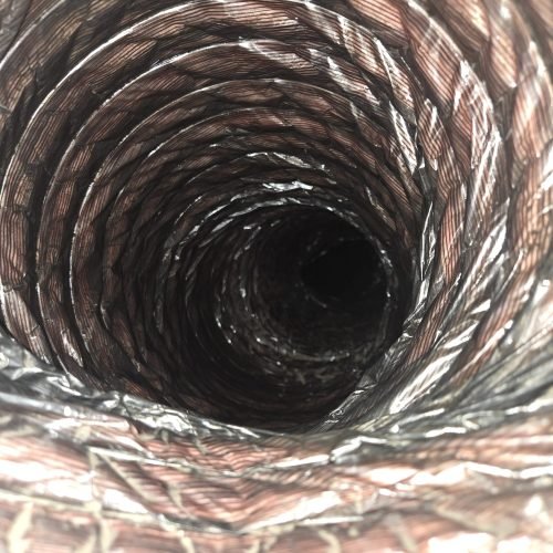 WhatsApp Image 2024-12-05 at 11.03.53 (5)