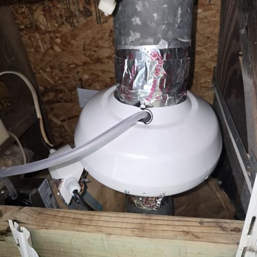 WhatsApp Image 2025-05-06 at 08.49.16