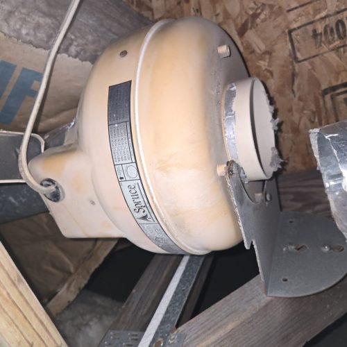 WhatsApp Image 2025-05-06 at 08.49.17