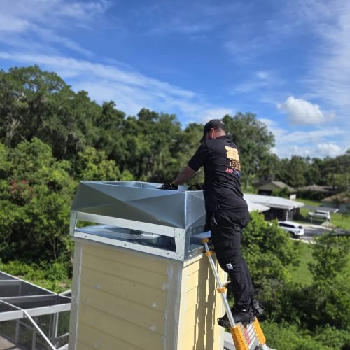 WhatsApp Image 2025-06-26 at 10.41.02