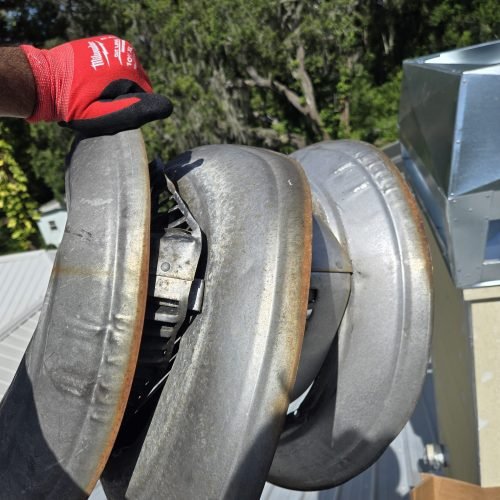 WhatsApp Image 2025-06-26 at 10.41.03 (2)