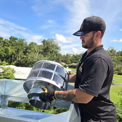 WhatsApp Image 2025-06-26 at 10.41.05