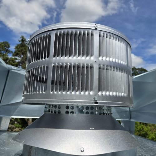 WhatsApp Image 2025-06-26 at 10.41.07 (3)