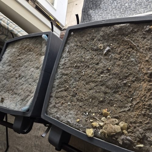 WhatsApp Image 2026-01-22 at 15.26.22 (1)